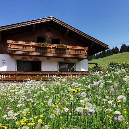 Hotel Haus Steinkarblick und Berghäusl Berwang Exterior foto